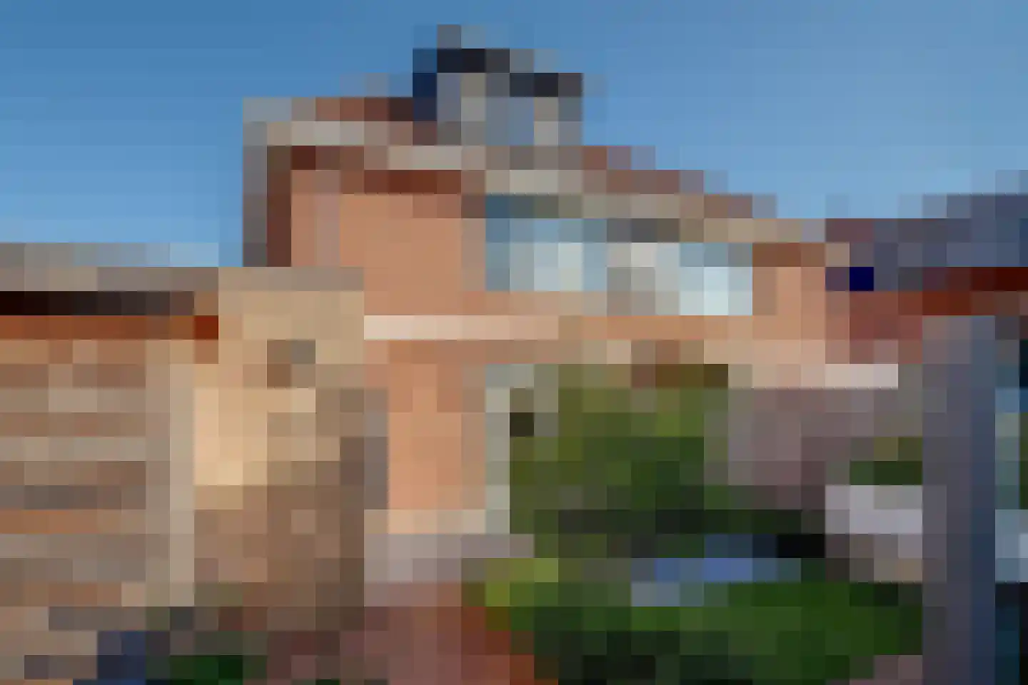 Roerdomp 8 Spanbroek thumbnail 40