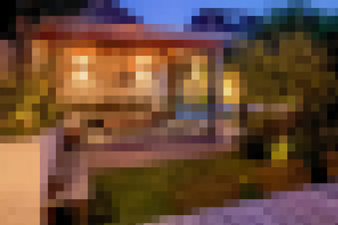 Roerdomp 8 Spanbroek thumbnail 42