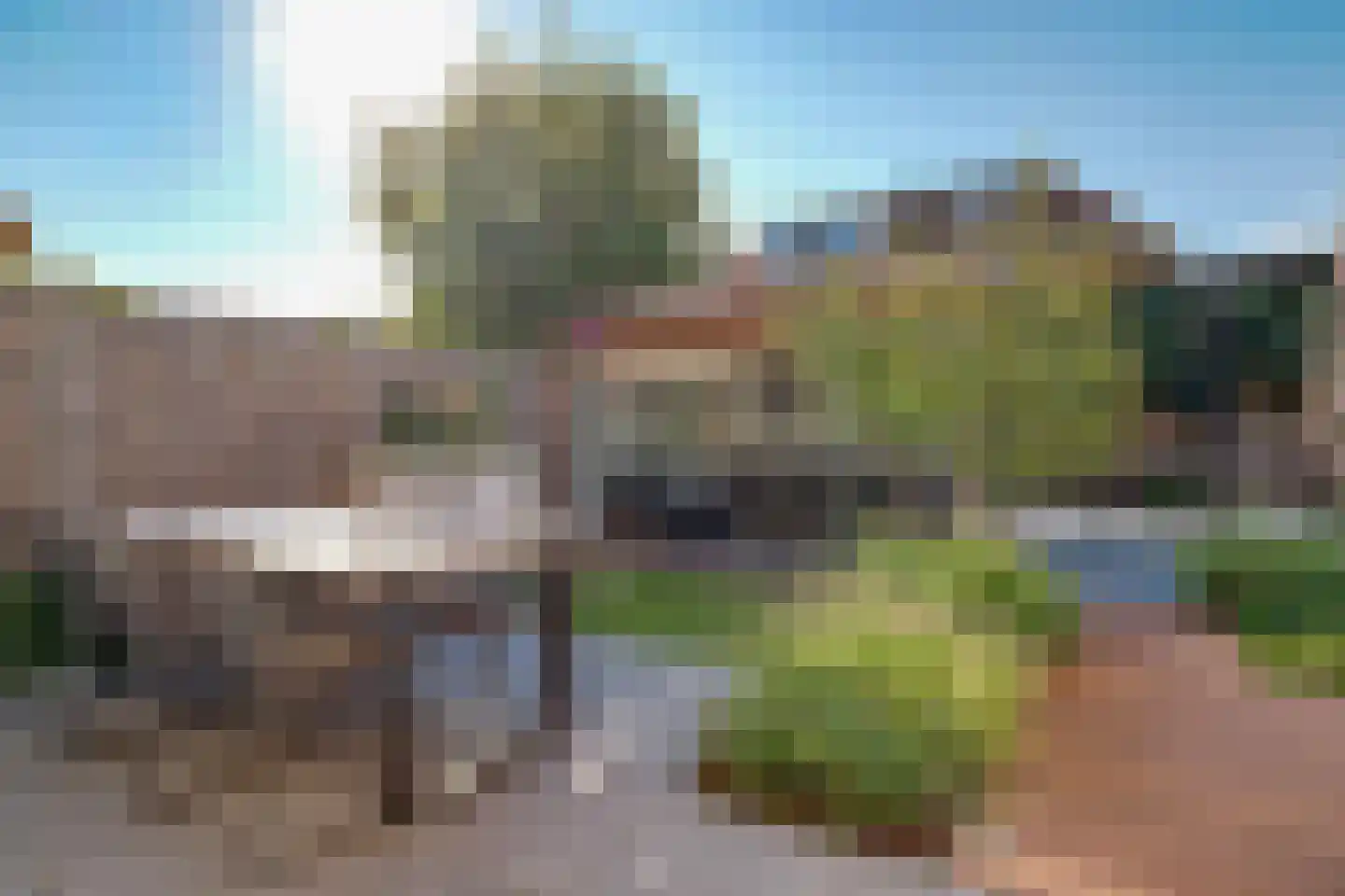 Roerdomp 8 Spanbroek thumbnail 44