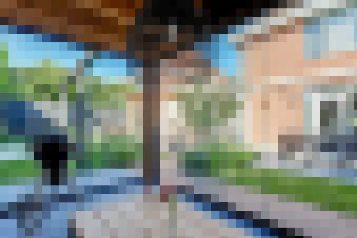 Roerdomp 8 Spanbroek thumbnail 50