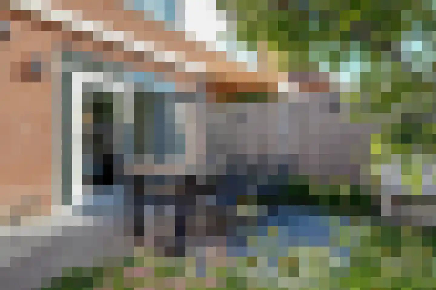 Roerdomp 8 Spanbroek thumbnail 51