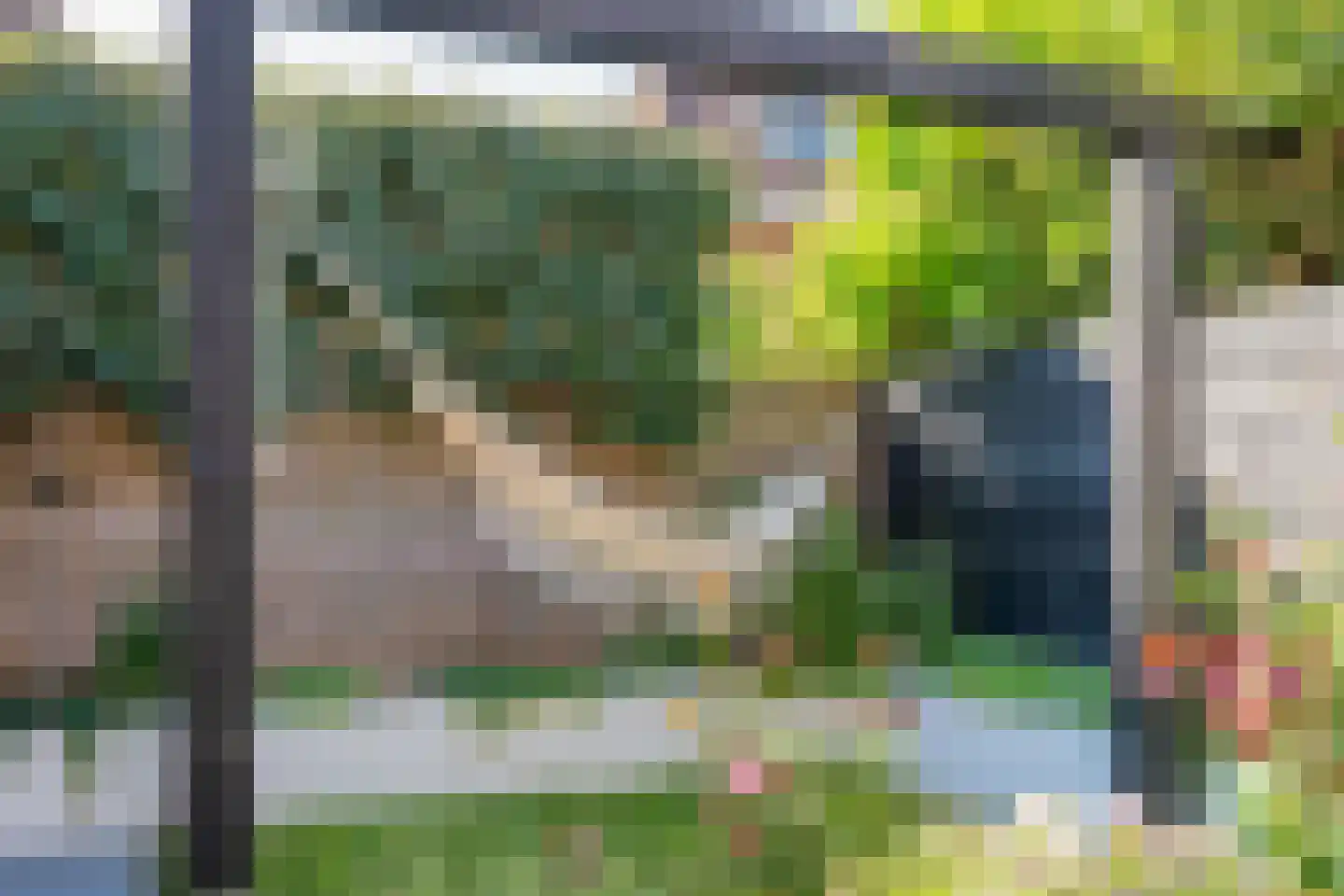 Roerdomp 8 Spanbroek thumbnail 52