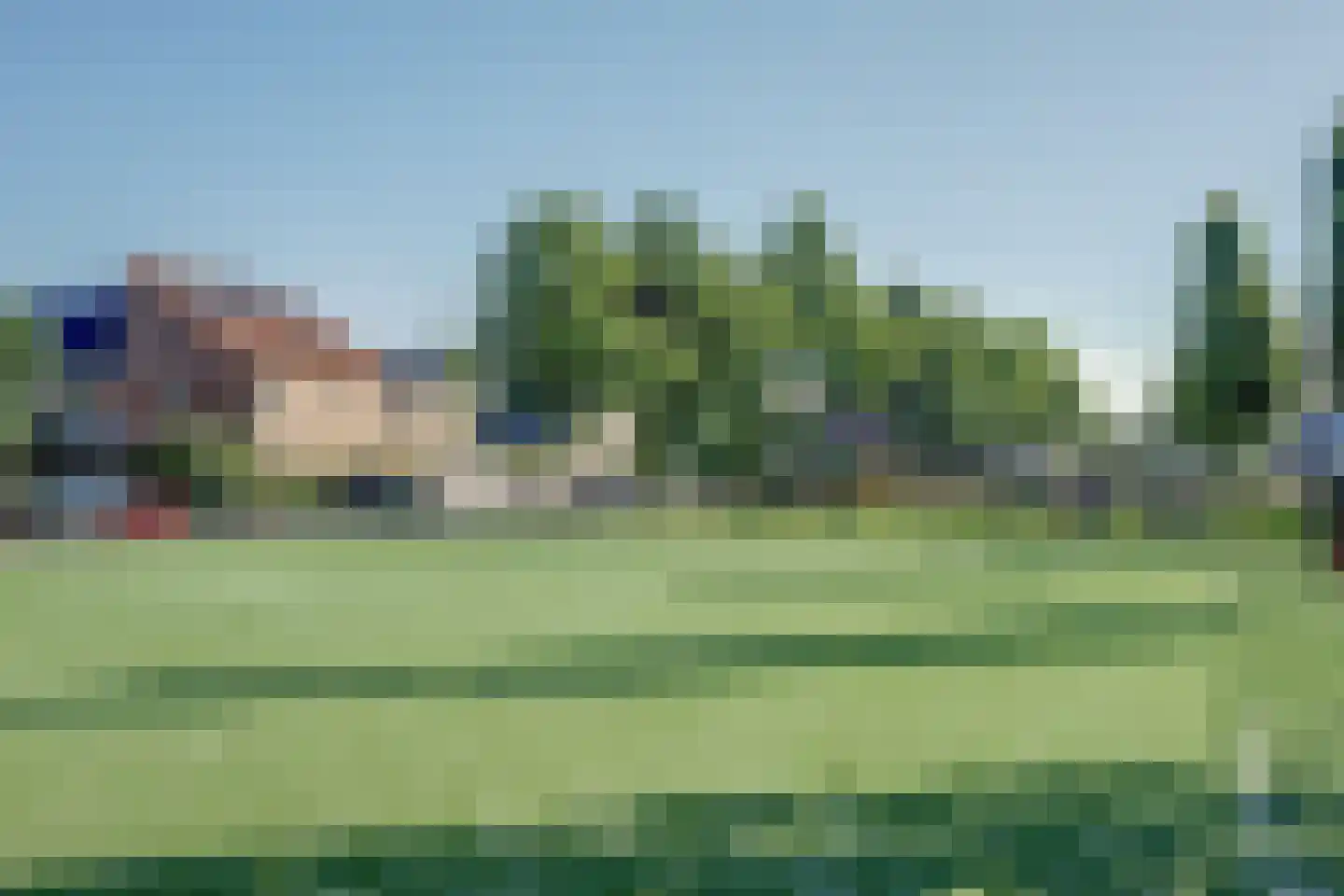 Roerdomp 8 Spanbroek thumbnail 54