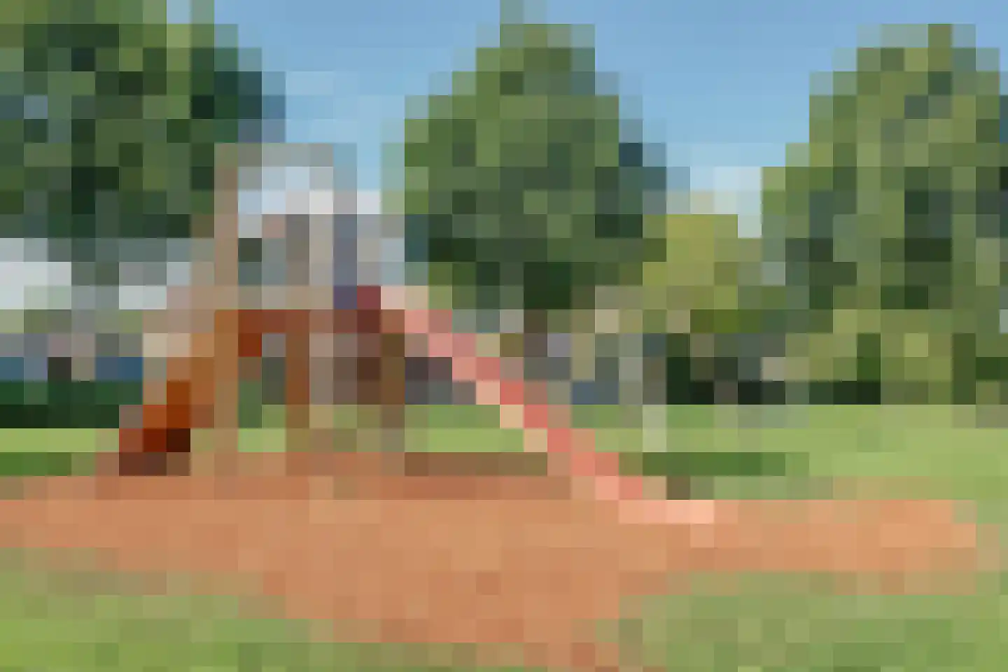 Roerdomp 8 Spanbroek thumbnail 55