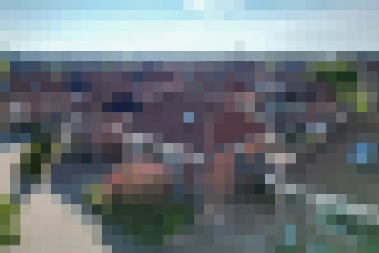 Roerdomp 8 Spanbroek thumbnail 56