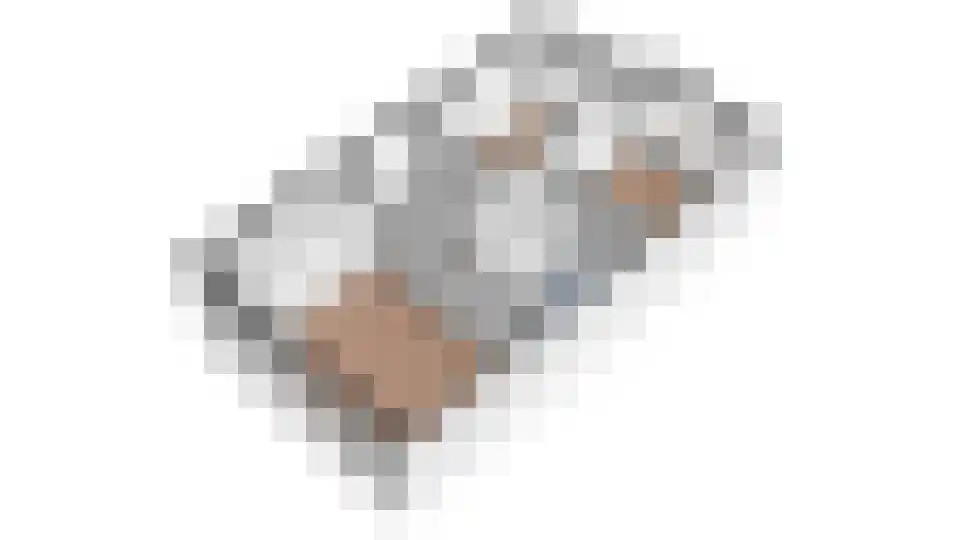 Roerdomp 8 Spanbroek thumbnail 62