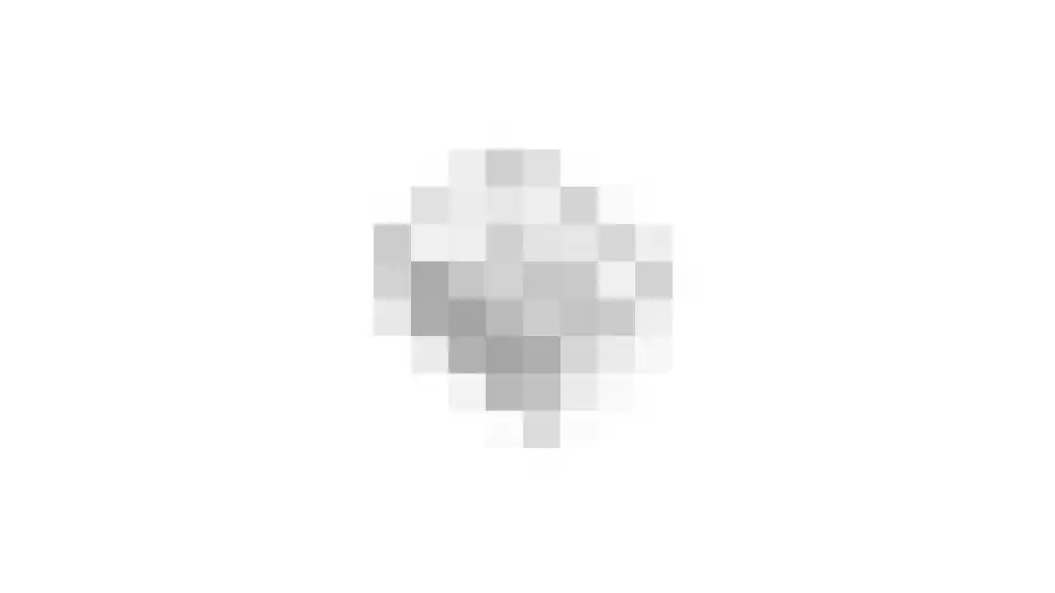 Roerdomp 8 Spanbroek thumbnail 68