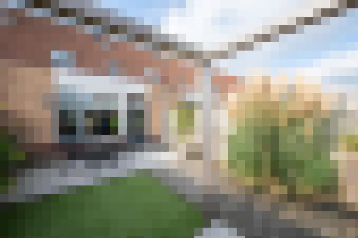 Roerdomp 81 Spanbroek thumbnail 35