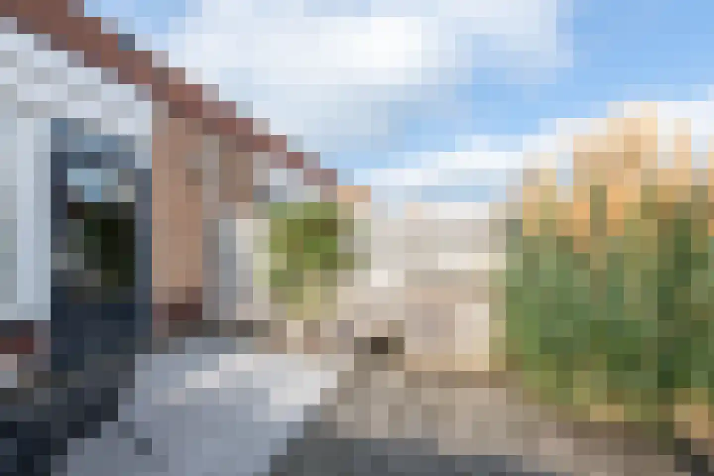 Roerdomp 81 Spanbroek thumbnail 36