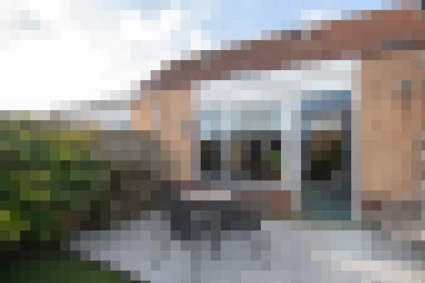 Roerdomp 81 Spanbroek thumbnail 37