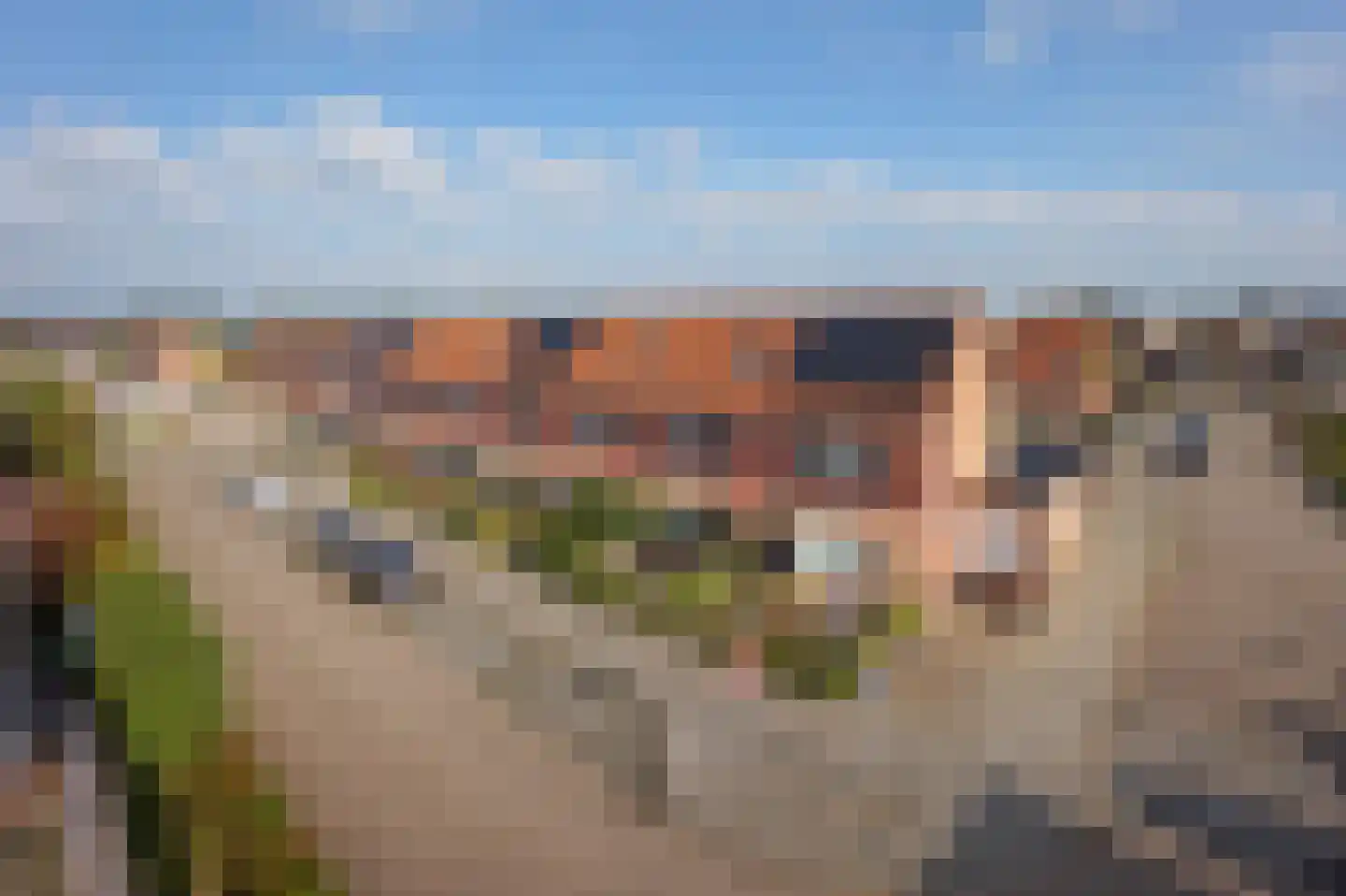 Roerdomp 81 Spanbroek thumbnail 38