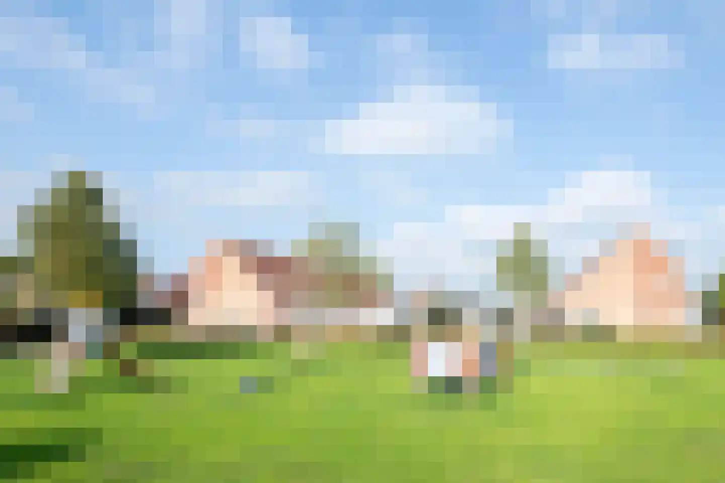 Roerdomp 81 Spanbroek thumbnail 42