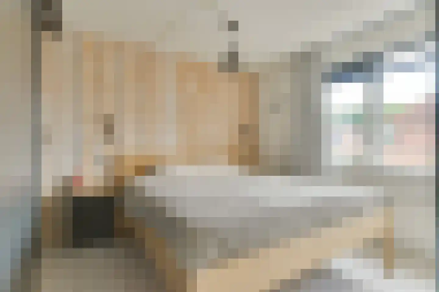 Roerdomp 81 Spanbroek thumbnail 5