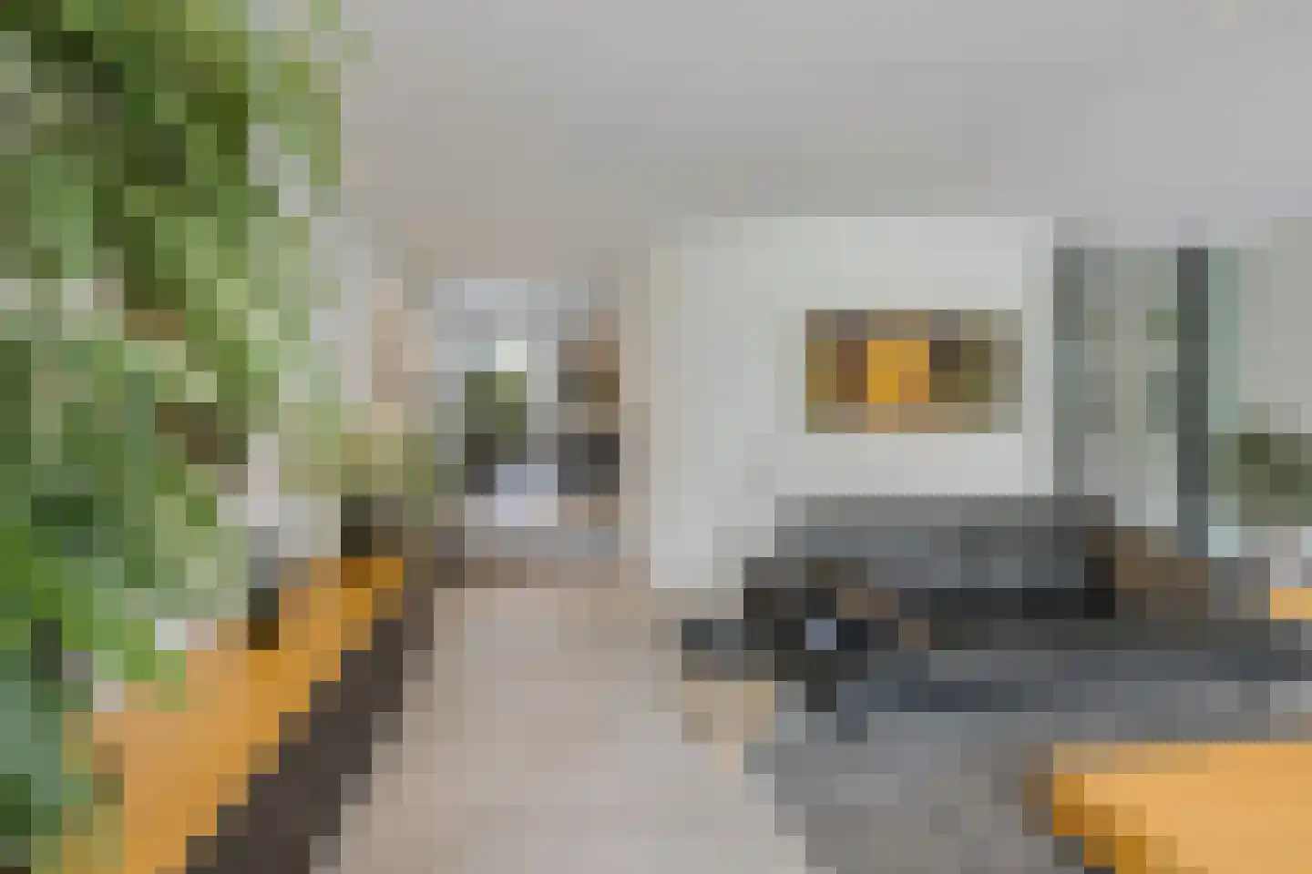 Roerdomperf 10 Voorschoten thumbnail 13
