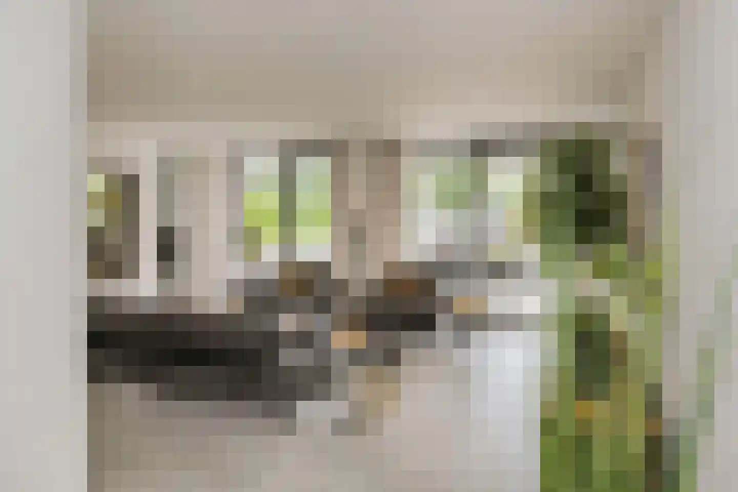 Roerdomperf 10 Voorschoten thumbnail 14