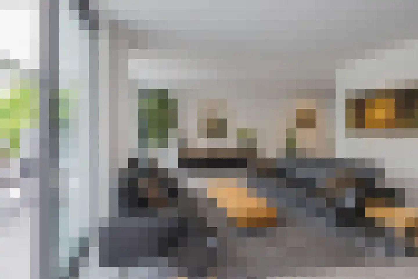 Roerdomperf 10 Voorschoten thumbnail 15