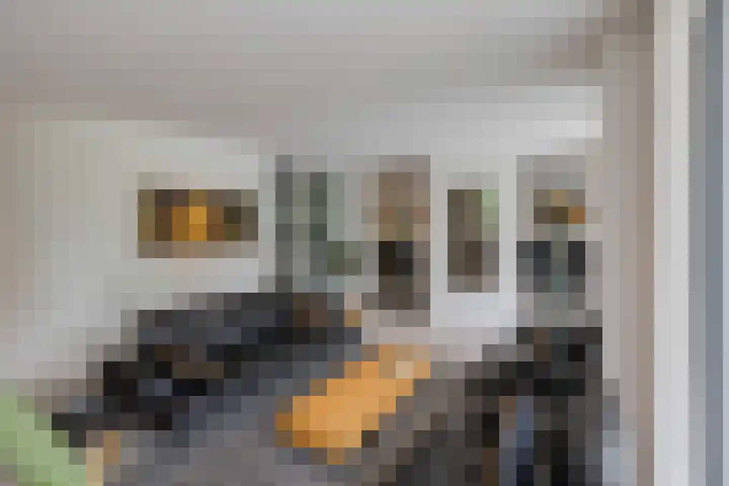 Roerdomperf 10 Voorschoten thumbnail 16