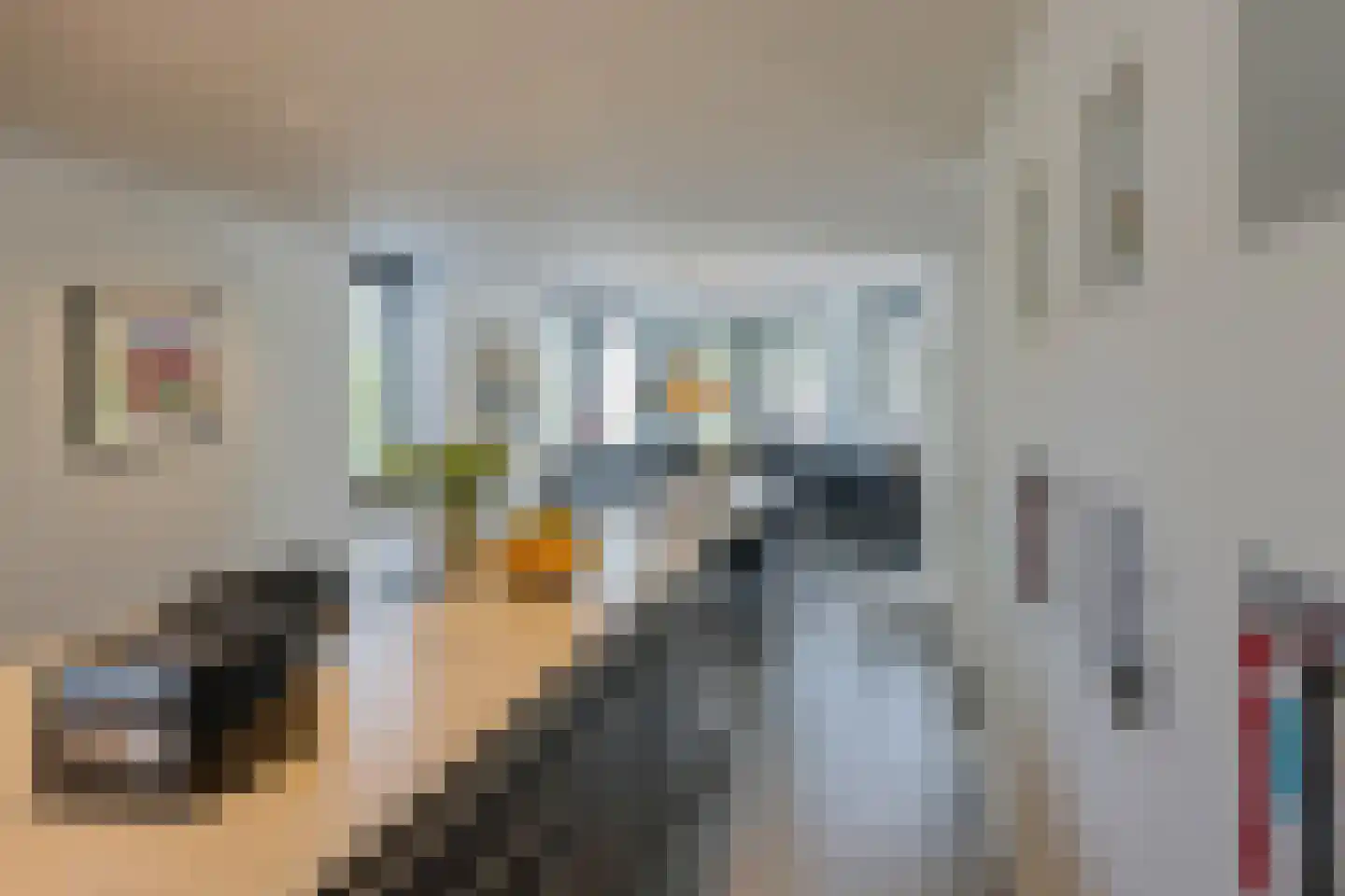 Roerdomperf 10 Voorschoten thumbnail 20
