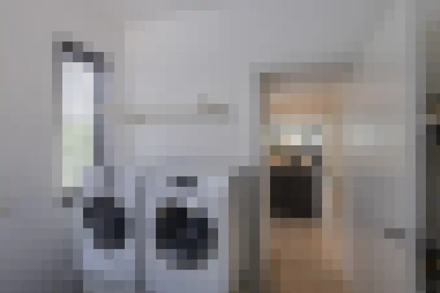 Roerdomperf 10 Voorschoten thumbnail 27