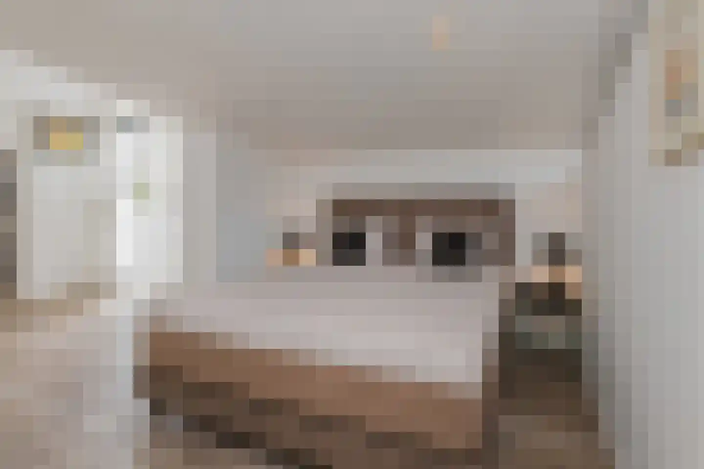 Roerdomperf 10 Voorschoten thumbnail 33