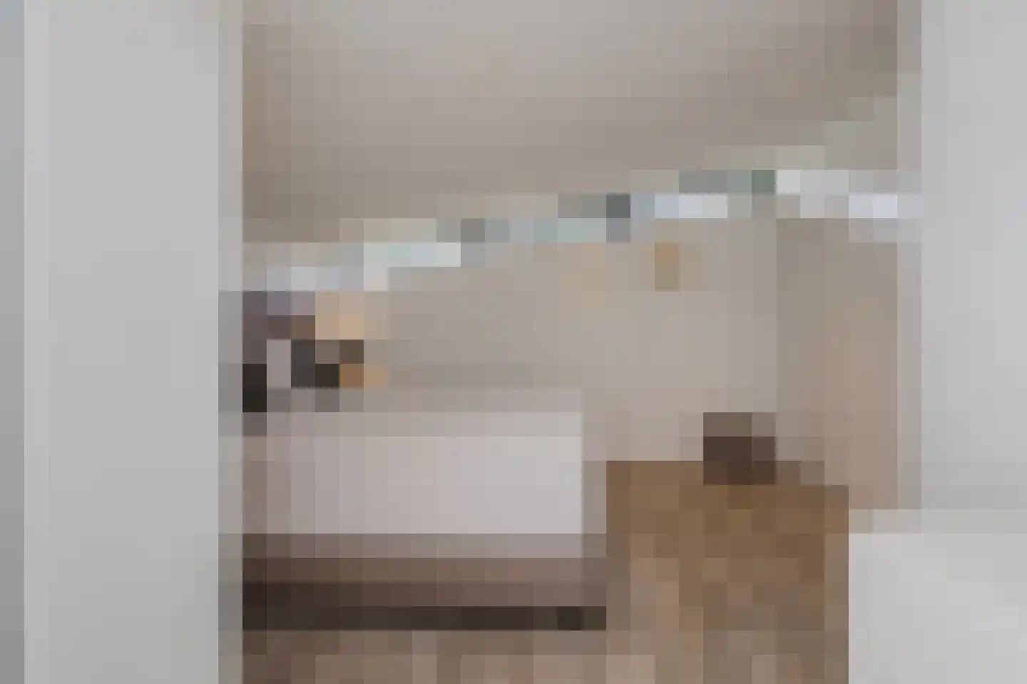 Roerdomperf 10 Voorschoten thumbnail 34