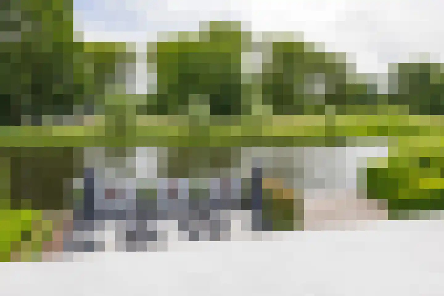 Roerdomperf 10 Voorschoten thumbnail 38