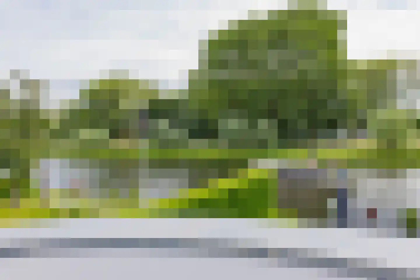 Roerdomperf 10 Voorschoten thumbnail 39