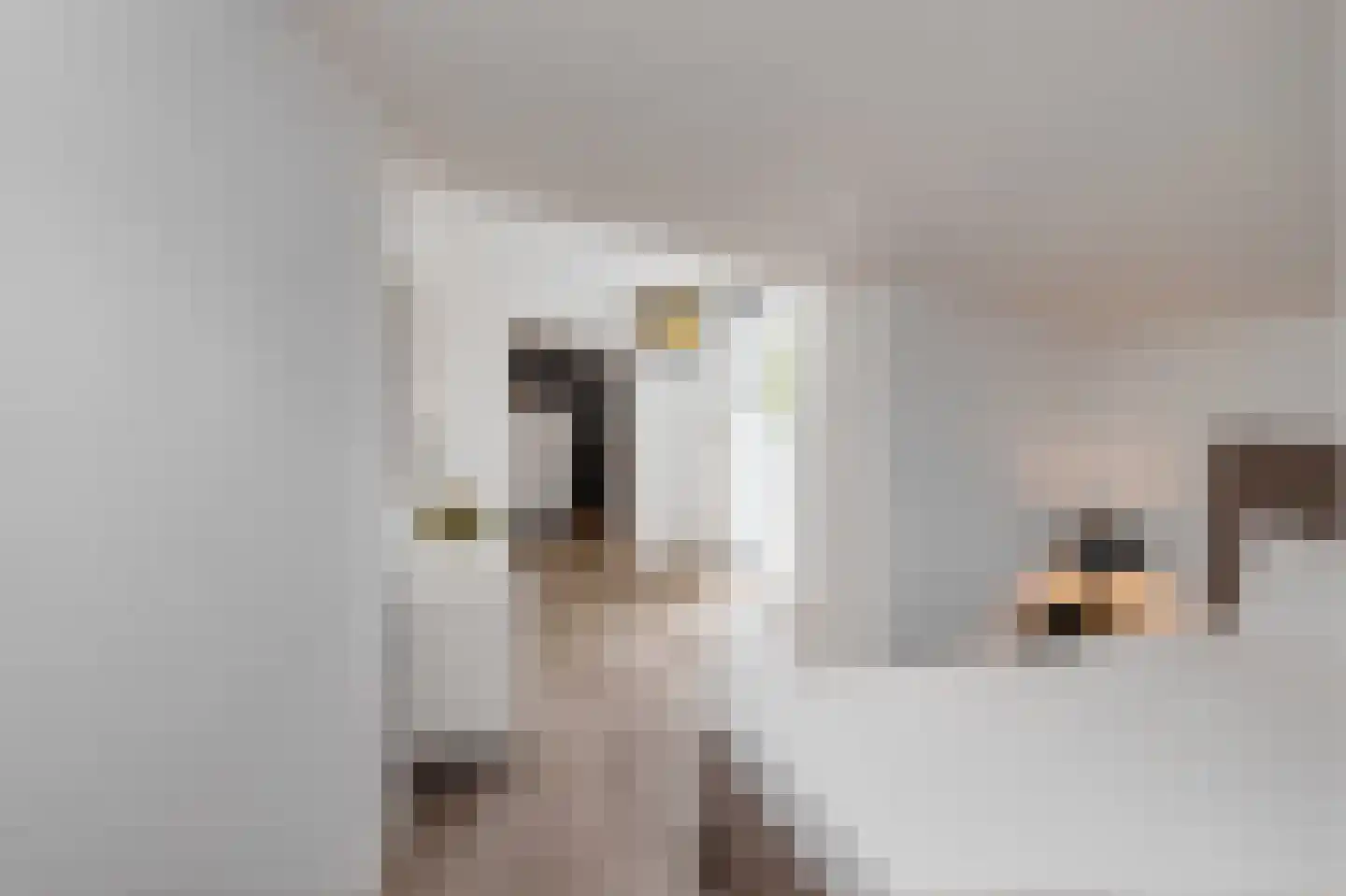 Roerdomperf 10 Voorschoten thumbnail 41