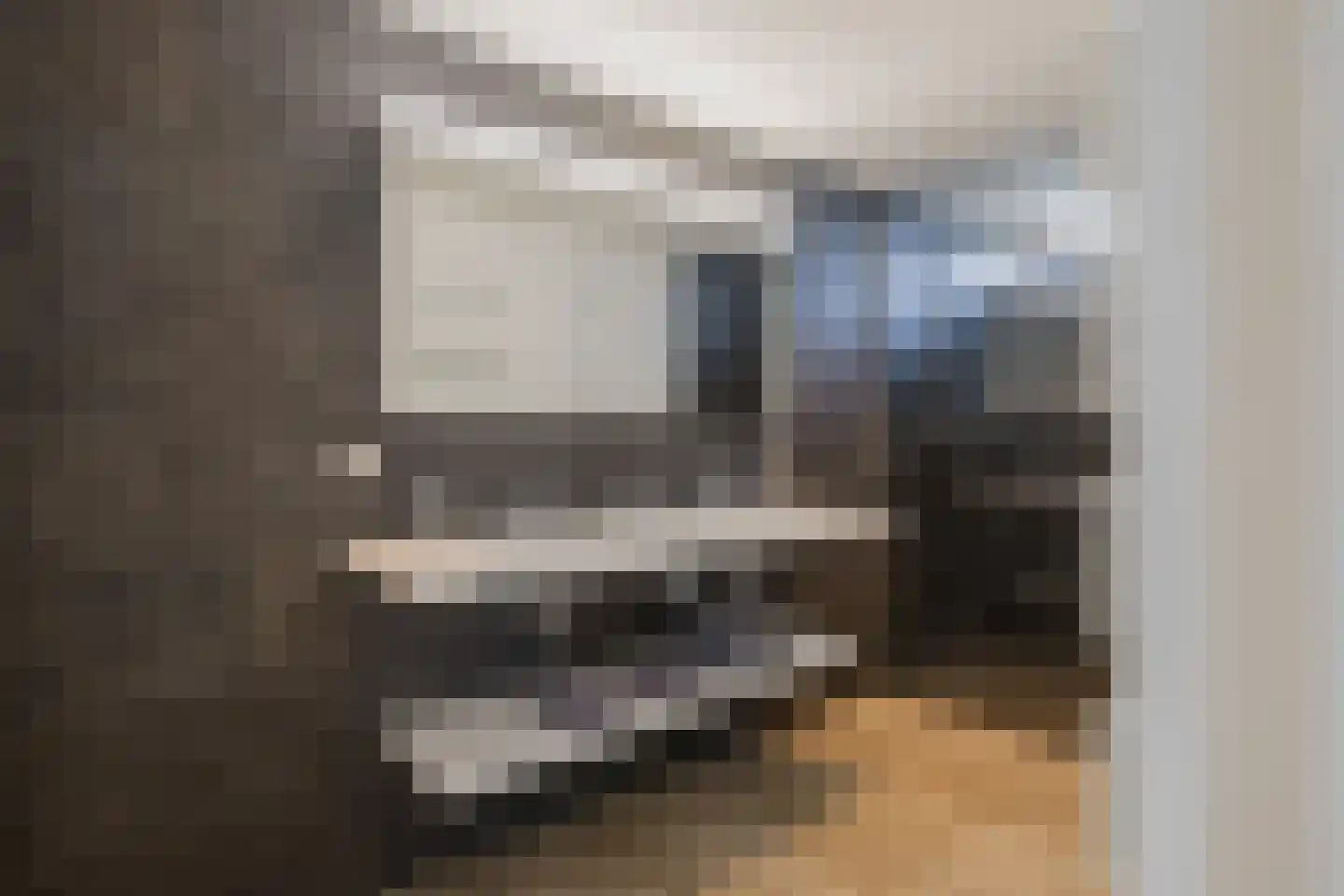 Roerdomperf 10 Voorschoten thumbnail 49