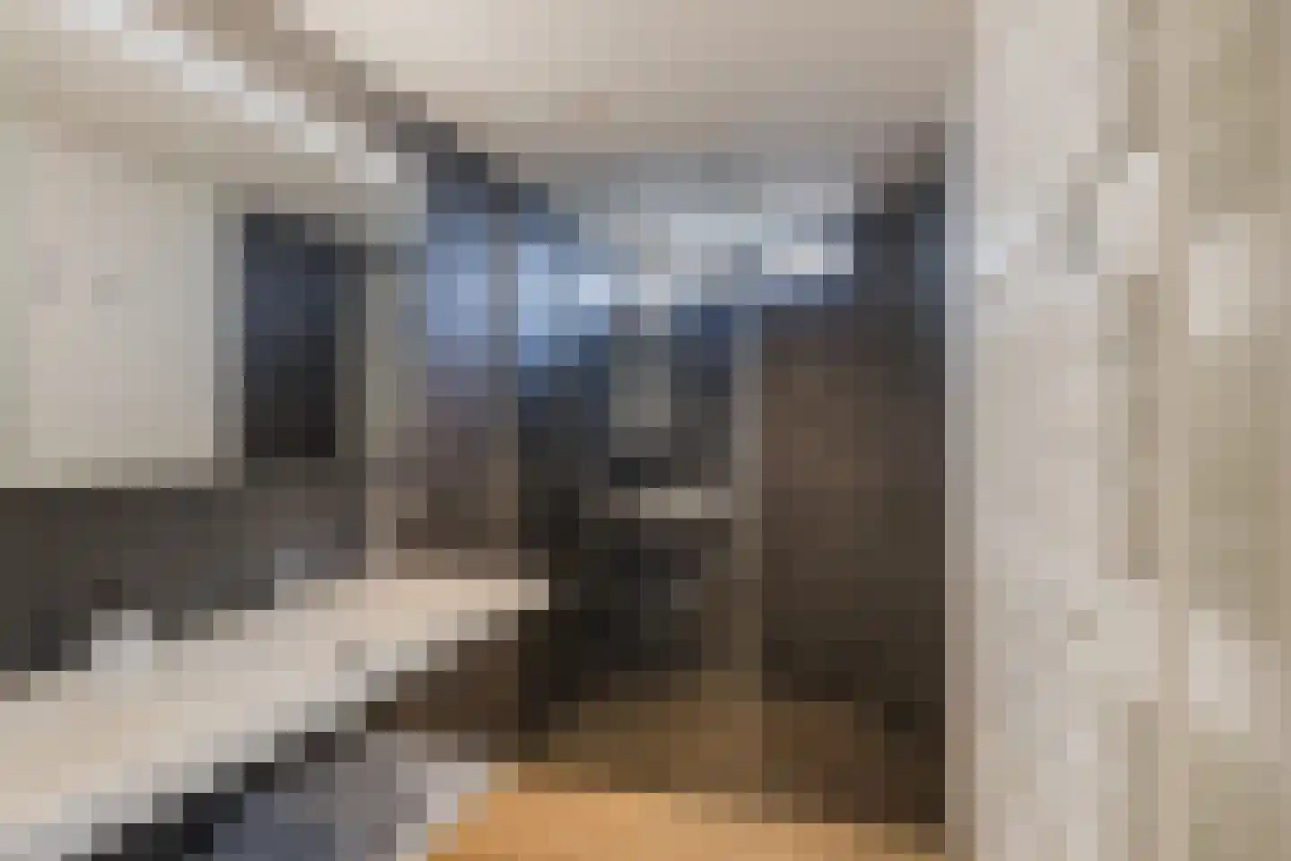 Roerdomperf 10 Voorschoten thumbnail 50