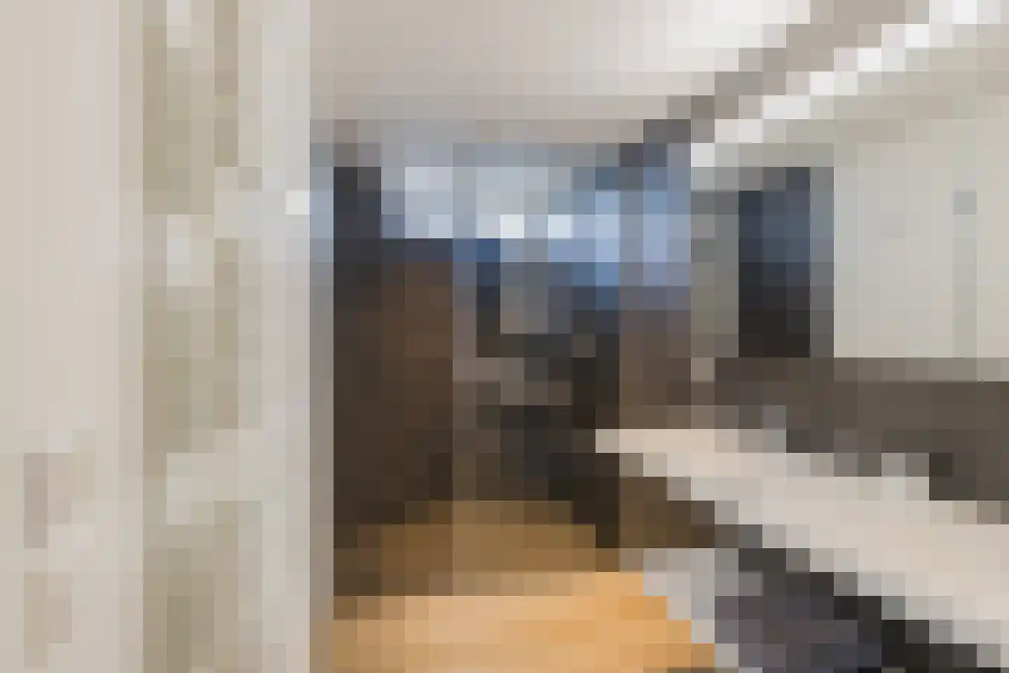 Roerdomperf 10 Voorschoten thumbnail 55