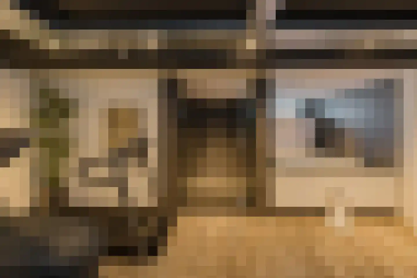Roerdomperf 10 Voorschoten thumbnail 59