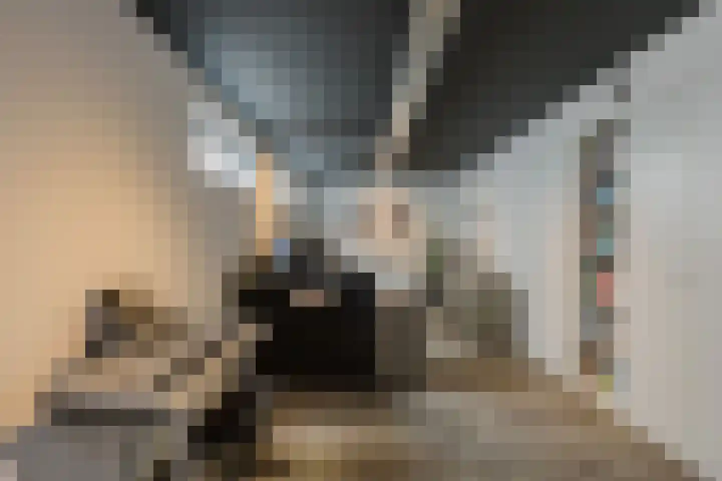 Roerdomperf 10 Voorschoten thumbnail 65