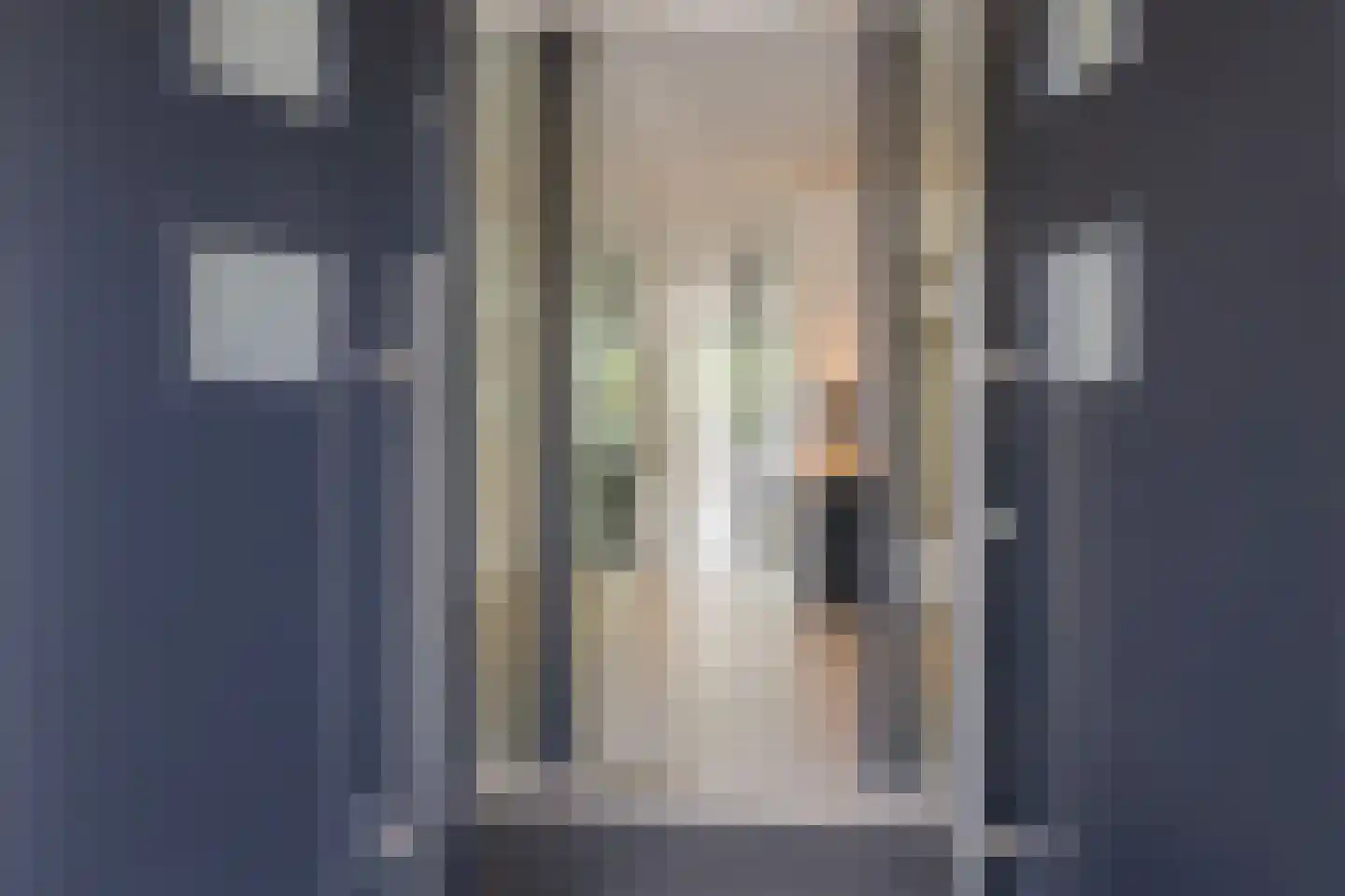 Roerdomperf 10 Voorschoten thumbnail 7