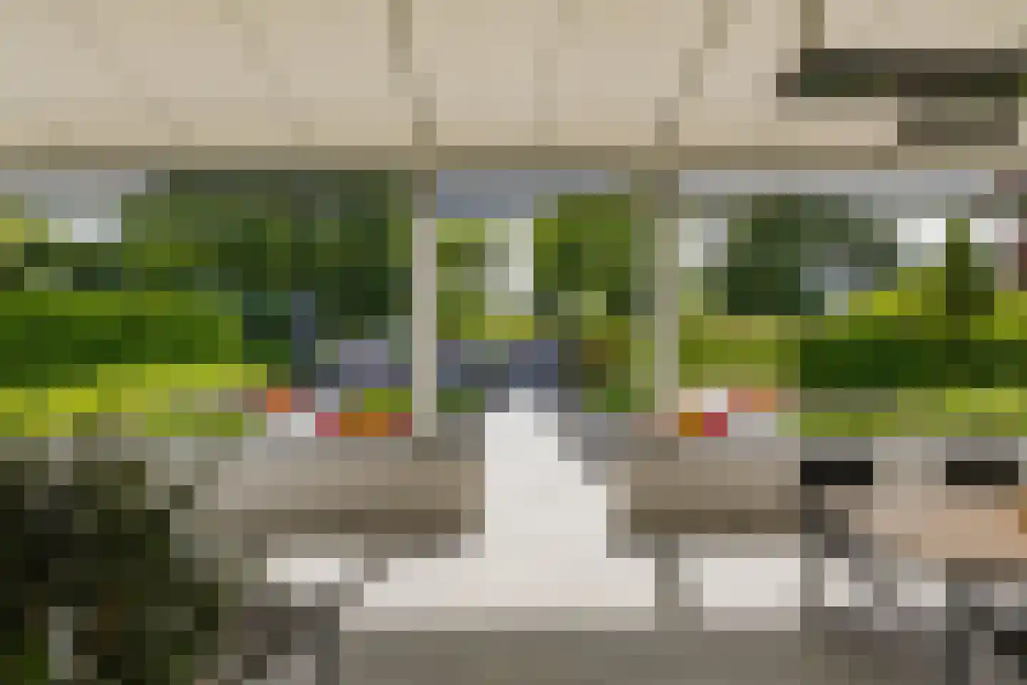 Roerdomperf 10 Voorschoten thumbnail 70