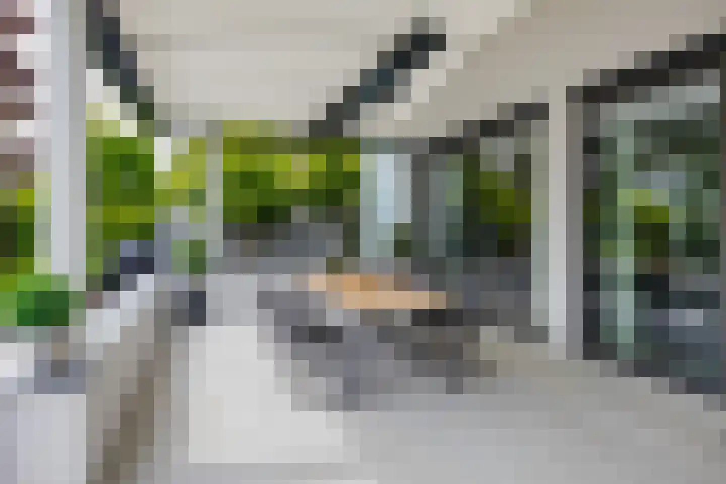 Roerdomperf 10 Voorschoten thumbnail 71