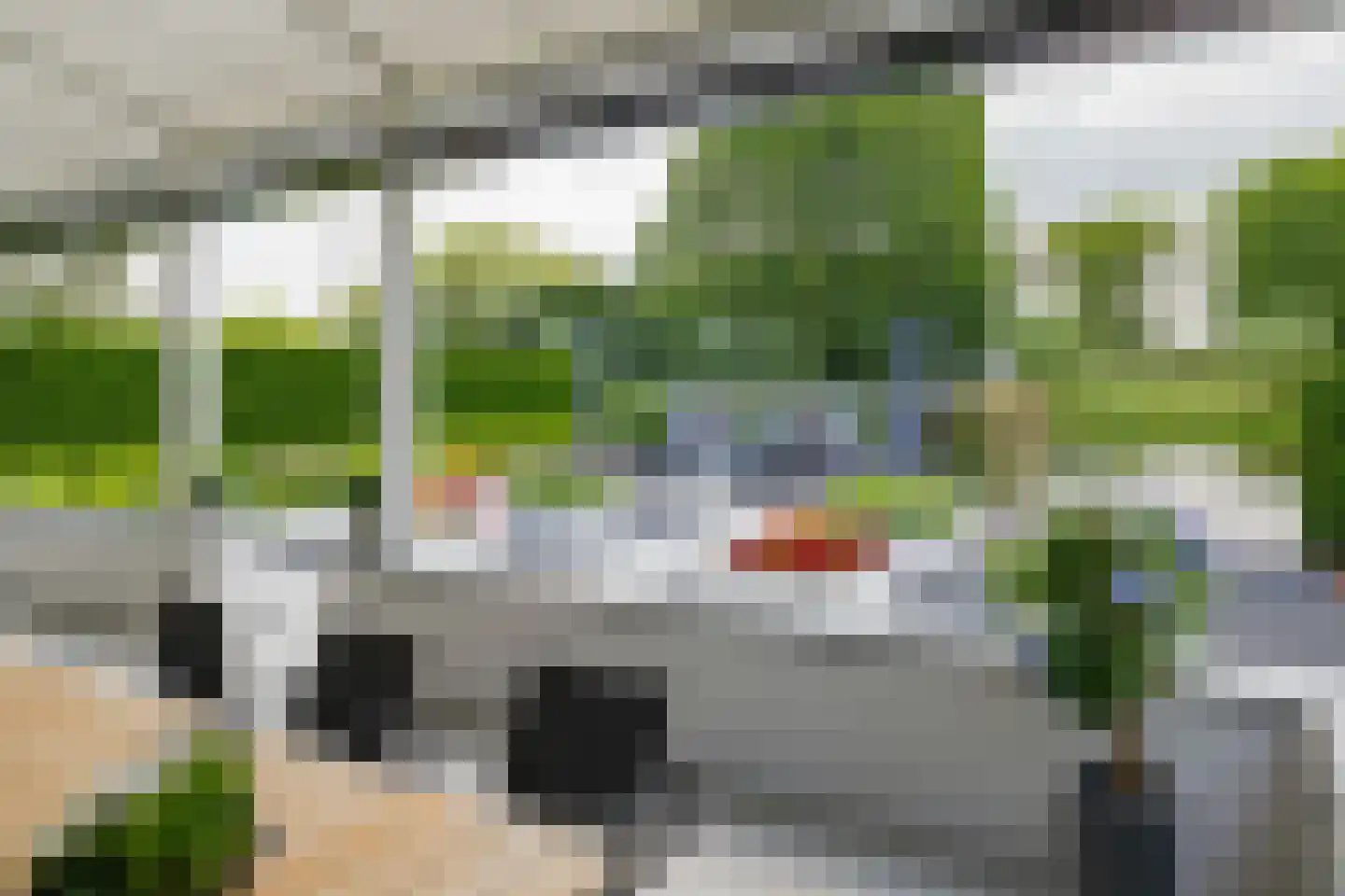 Roerdomperf 10 Voorschoten thumbnail 72