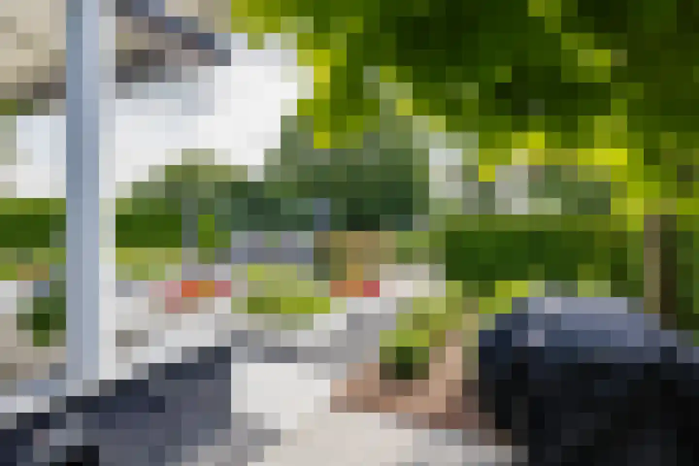 Roerdomperf 10 Voorschoten thumbnail 73