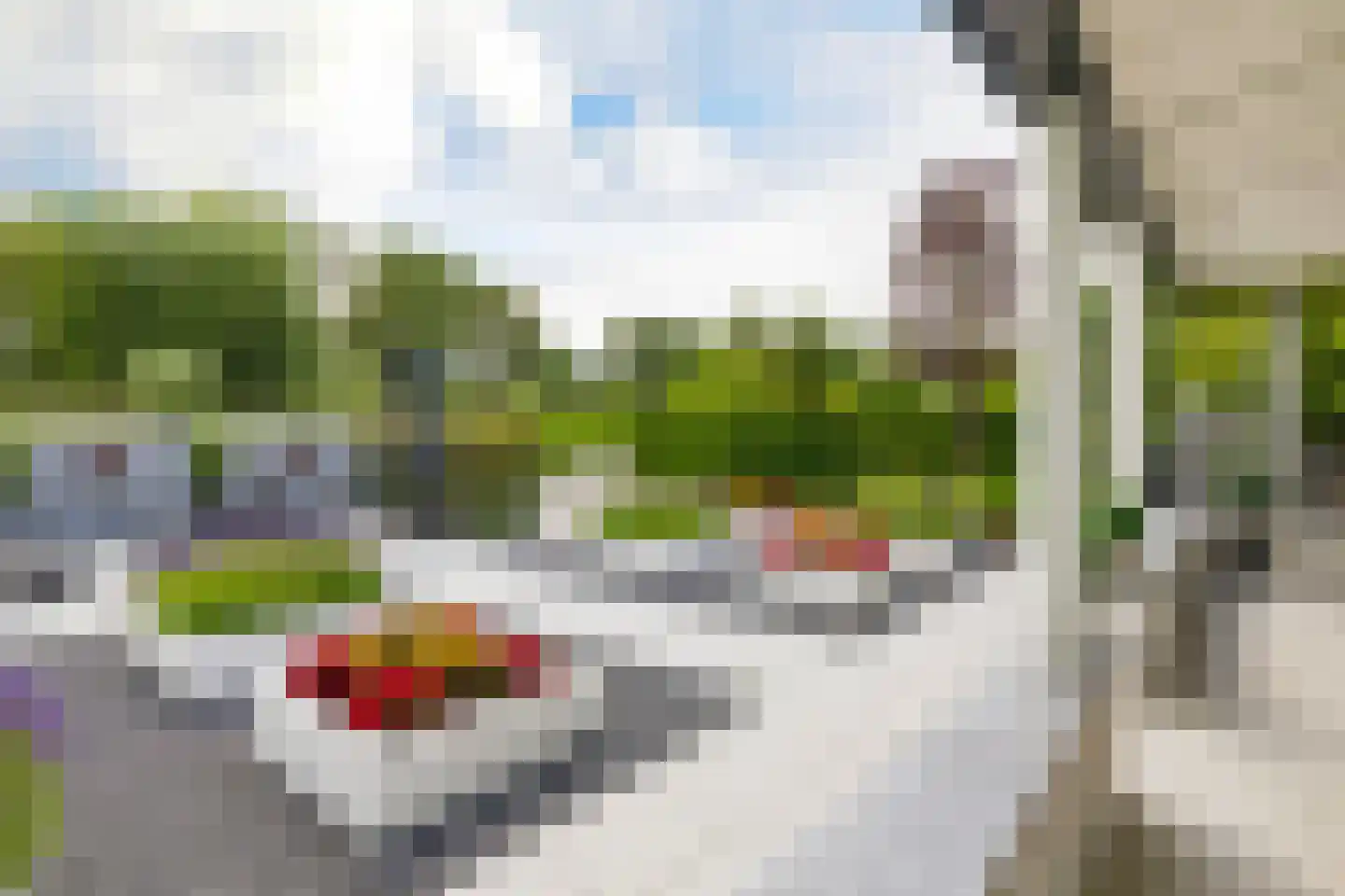 Roerdomperf 10 Voorschoten thumbnail 75