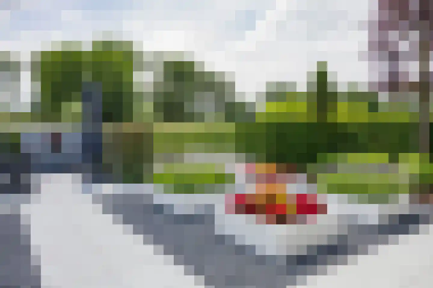 Roerdomperf 10 Voorschoten thumbnail 76