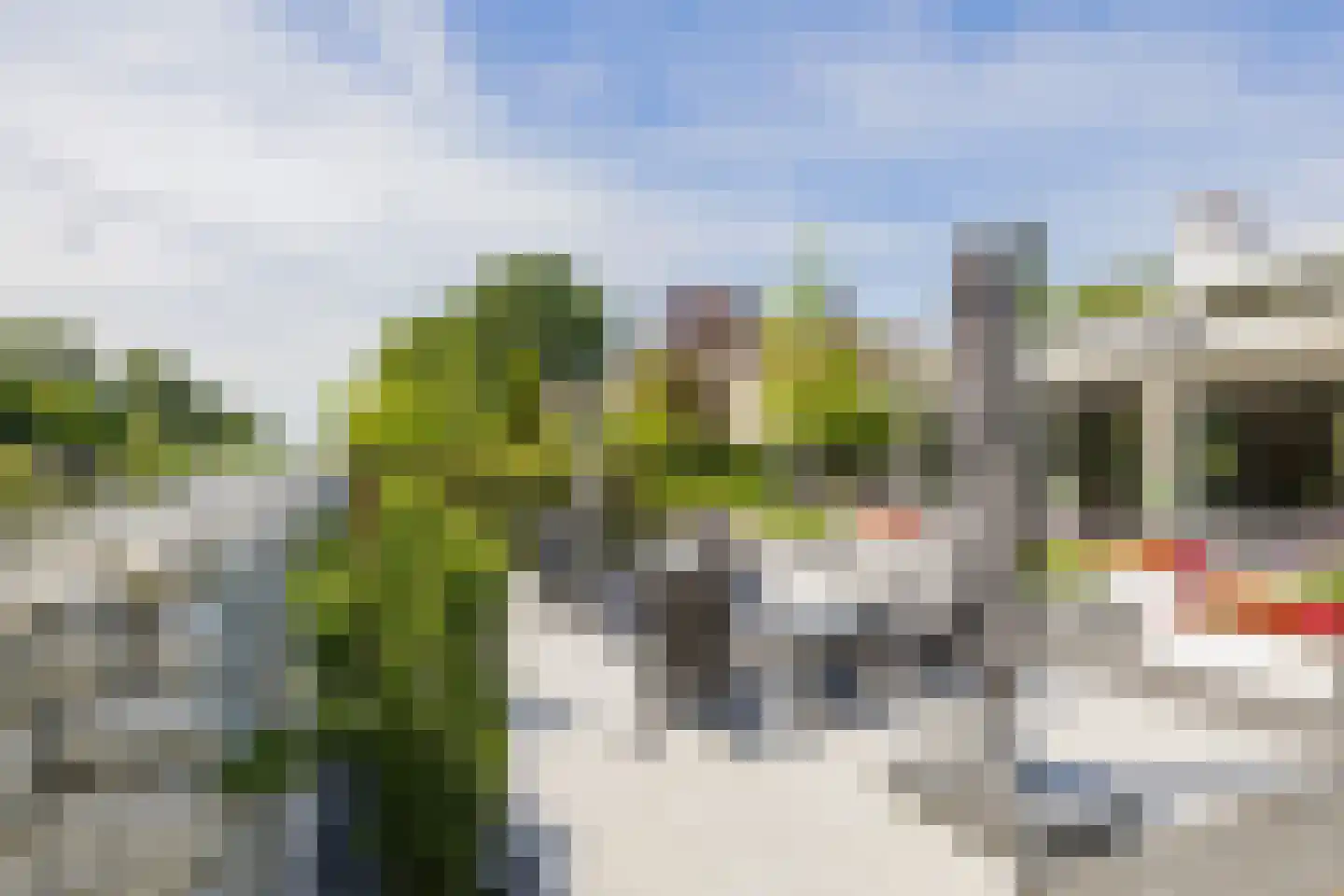 Roerdomperf 10 Voorschoten thumbnail 78