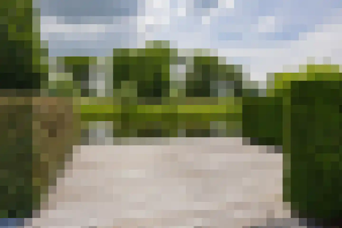 Roerdomperf 10 Voorschoten thumbnail 80