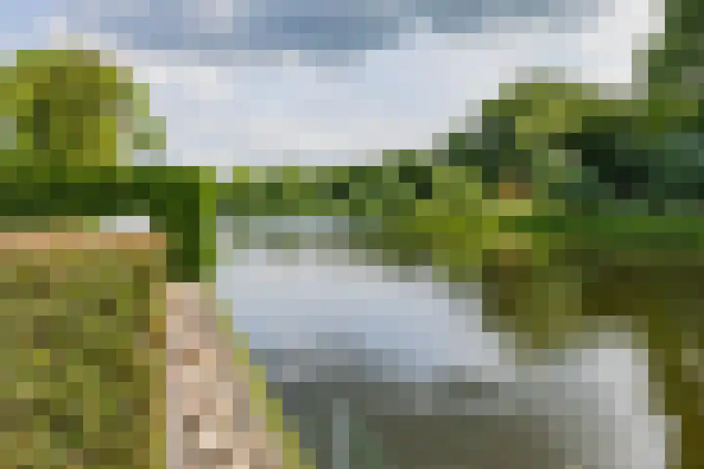 Roerdomperf 10 Voorschoten thumbnail 81