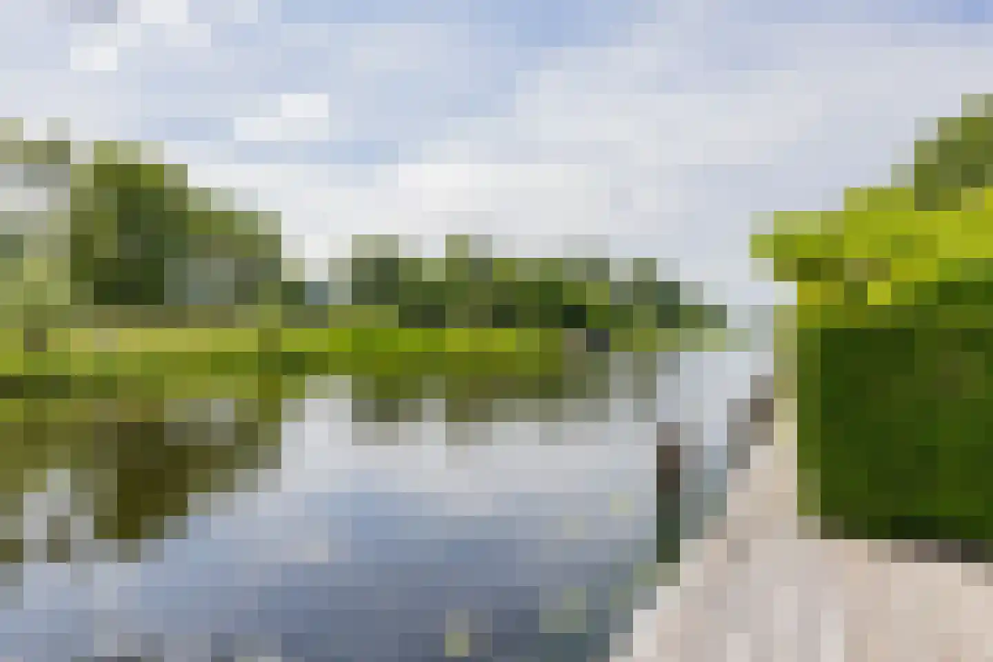 Roerdomperf 10 Voorschoten thumbnail 82