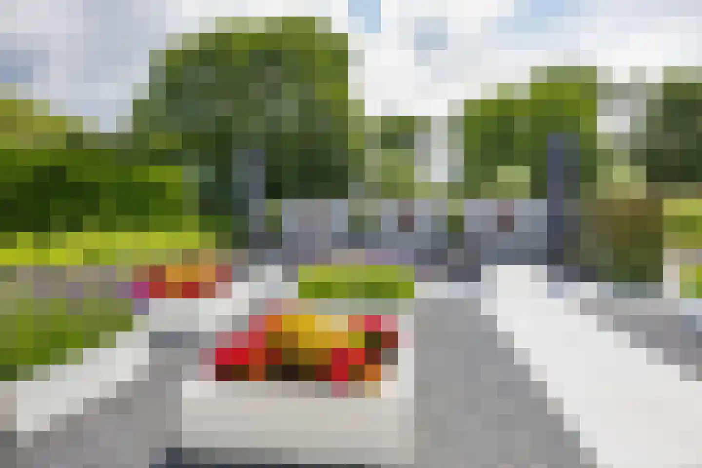 Roerdomperf 10 Voorschoten thumbnail 84