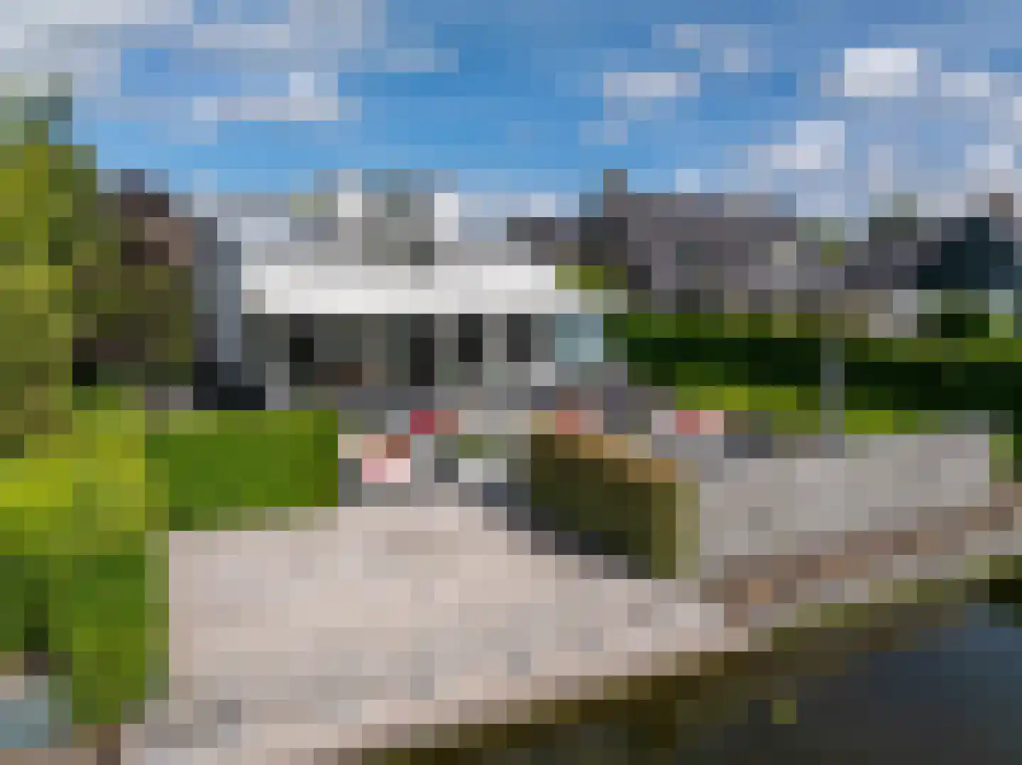Roerdomperf 10 Voorschoten thumbnail 85