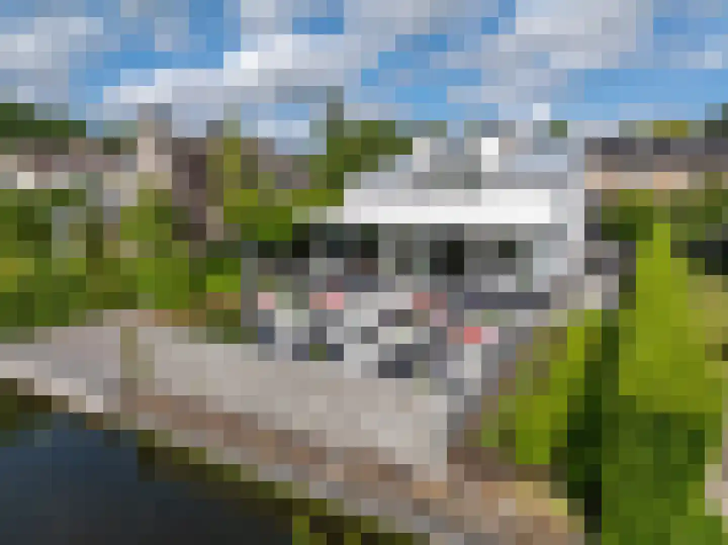 Roerdomperf 10 Voorschoten thumbnail 86