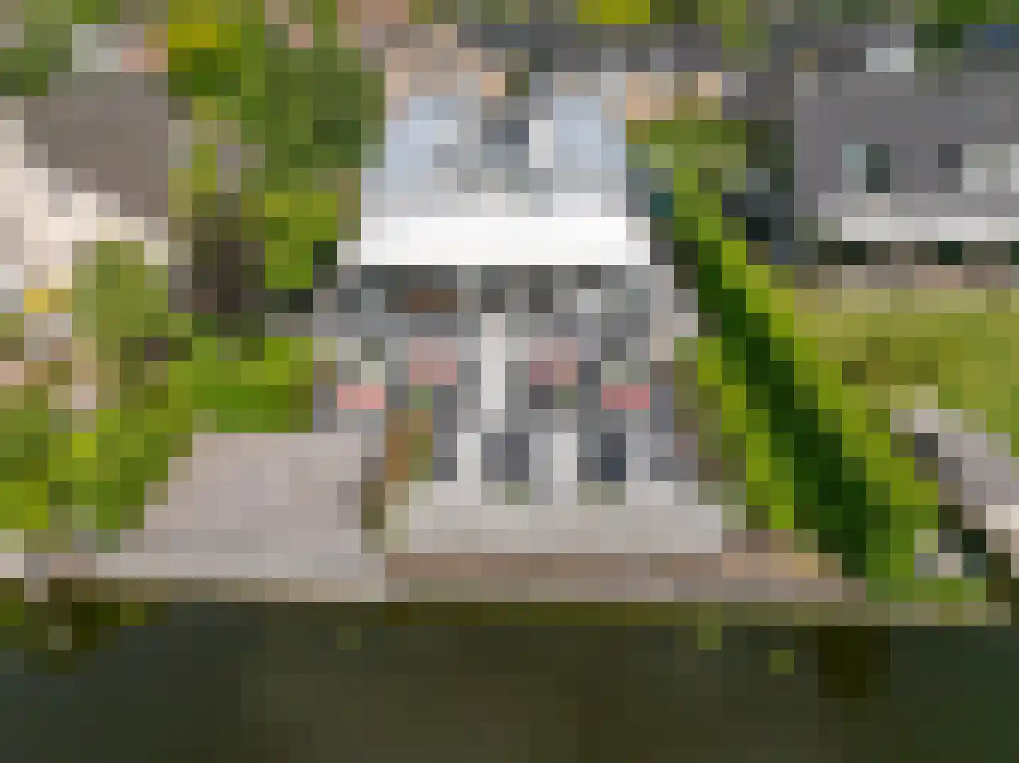 Roerdomperf 10 Voorschoten thumbnail 87