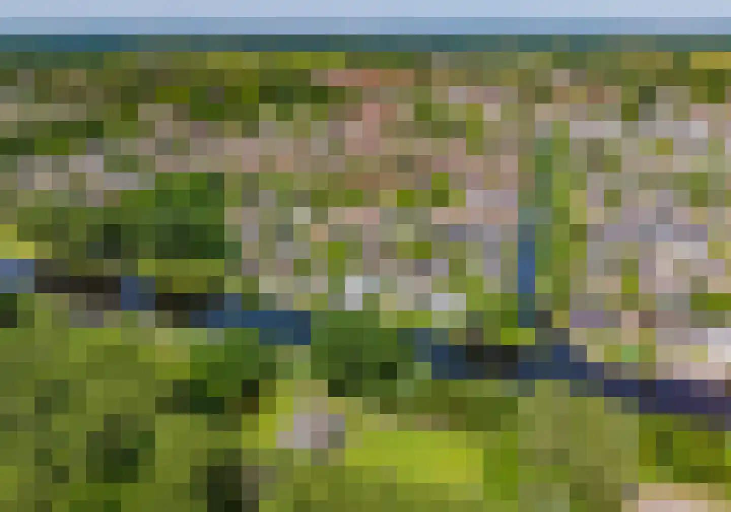 Roerdomperf 10 Voorschoten thumbnail 88