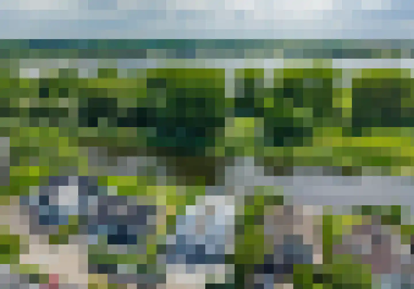 Roerdomperf 10 Voorschoten thumbnail 89
